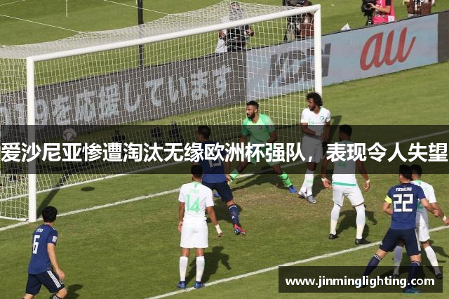 爱沙尼亚惨遭淘汰无缘欧洲杯强队，表现令人失望